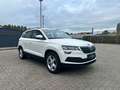 Skoda Karoq 1.0 TSI Ambition LED*SITZHZG*KLIMA*PDC*17" Weiß - thumbnail 3