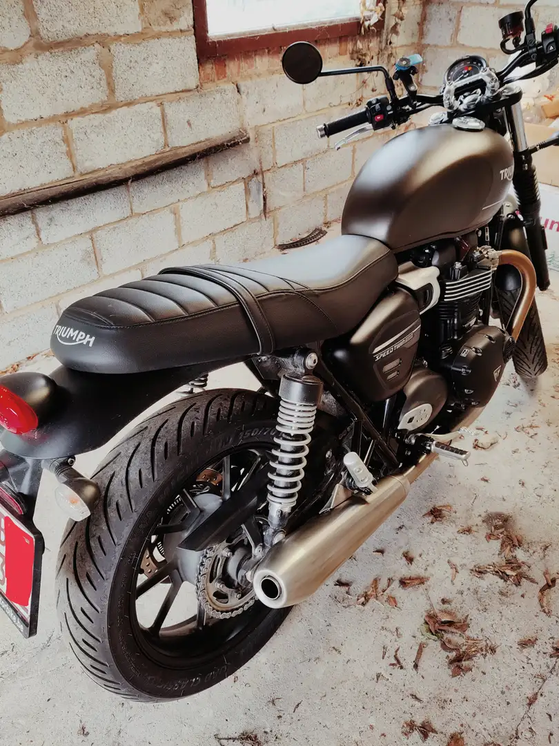 Triumph Speed Twin 2023 Grün - 1