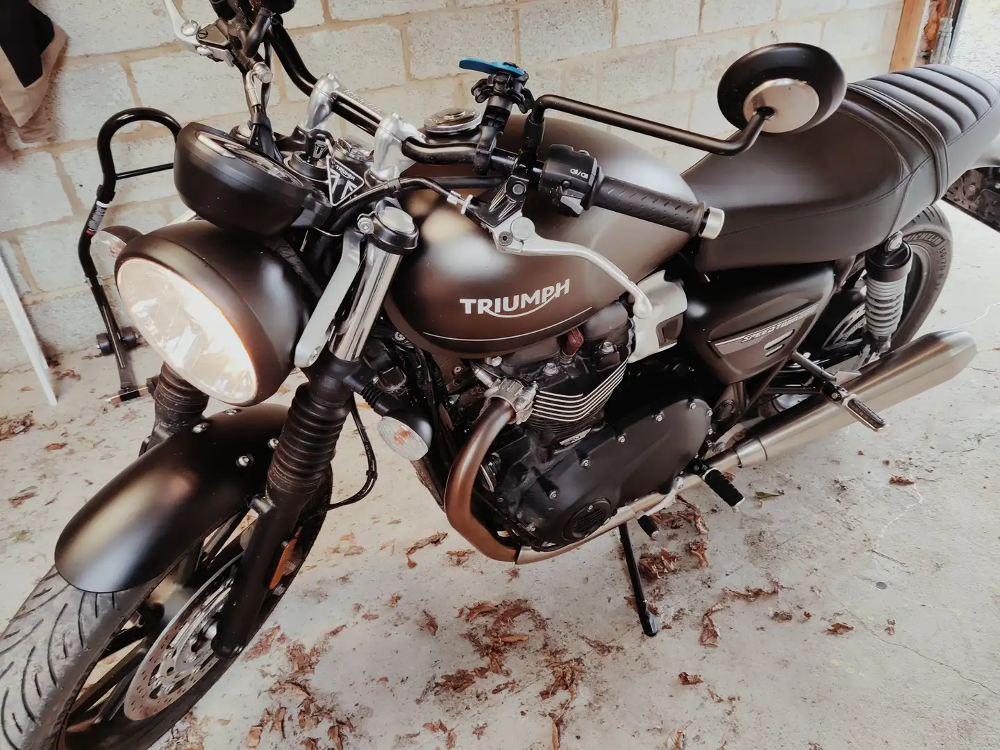 Triumph Speed Twin 2023 Grün - 2