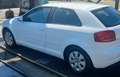 Audi A3 A3 1.6 tdi Ambition - thumbnail 2