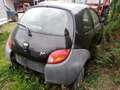 Ford Ka/Ka+ Ka 1,3 Schwarz - thumbnail 9