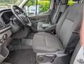 Ford Transit Pritsche 350 L3 Doppelkabine Trend Weiß - thumbnail 9