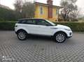 Land Rover Range Rover Evoque Range Rover Evoque 5p 2.0 ed4 Pure 150cv Bianco - thumbnail 3