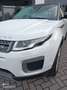 Land Rover Range Rover Evoque Range Rover Evoque 5p 2.0 ed4 Pure 150cv Bianco - thumbnail 4