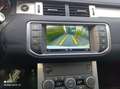 Land Rover Range Rover Evoque Range Rover Evoque 5p 2.0 ed4 Pure 150cv Bianco - thumbnail 8