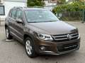 Volkswagen Tiguan Sport&Style 4Motion TÜV NEU/NAVI/LED/PANO Brun - thumbnail 5