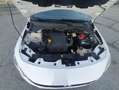 Fiat Tipo 5p 1.4 Street 95cv GPL Blanc - thumbnail 15