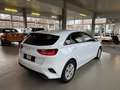 Kia Ceed / cee'd ceed 1,0 T-GDI GPF Titan P1 - Paket Titan Weiß - thumbnail 4