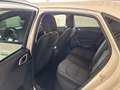 Kia Ceed / cee'd ceed 1,0 T-GDI GPF Titan P1 - Paket Titan Weiß - thumbnail 9