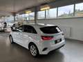 Kia Ceed / cee'd ceed 1,0 T-GDI GPF Titan P1 - Paket Titan Weiß - thumbnail 3