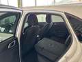 Kia Ceed / cee'd ceed 1,0 T-GDI GPF Titan P1 - Paket Titan Weiß - thumbnail 10