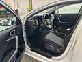 Kia Ceed / cee'd ceed 1,0 T-GDI GPF Titan P1 - Paket Titan Weiß - thumbnail 12