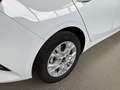 Kia Ceed / cee'd ceed 1,0 T-GDI GPF Titan P1 - Paket Titan Weiß - thumbnail 5