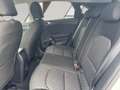 Kia Ceed / cee'd ceed 1,0 T-GDI GPF Titan P1 - Paket Titan Weiß - thumbnail 20
