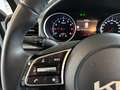 Kia Ceed / cee'd ceed 1,0 T-GDI GPF Titan P1 - Paket Titan Weiß - thumbnail 12