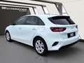 Kia Ceed / cee'd ceed 1,0 T-GDI GPF Titan P1 - Paket Titan Weiß - thumbnail 4