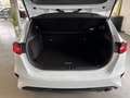 Kia Ceed / cee'd ceed 1,0 T-GDI GPF Titan P1 - Paket Titan Weiß - thumbnail 8