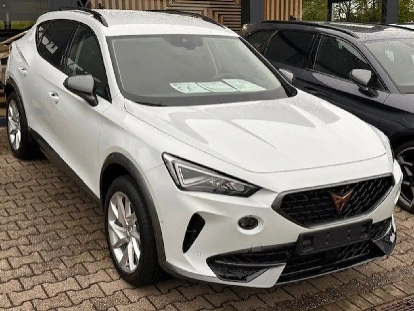 CUPRA Formentor 1.5 TSI DSG+Navi+eKlappe+ESitze+FAL Weiß - 2