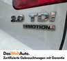 Volkswagen Tiguan Sky TDI BMT 4MOTION Weiß - thumbnail 8