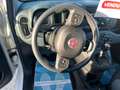 Fiat Panda 1.2 Easy easypower Gpl 69cv my19✅ Gpl ORIGINALE Blanc - thumbnail 8
