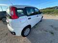 Fiat Panda 1.2 Easy easypower Gpl 69cv my19✅ Gpl ORIGINALE Blanc - thumbnail 13