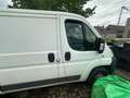 Fiat Ducato Ducato L1H1 Wit - thumbnail 7