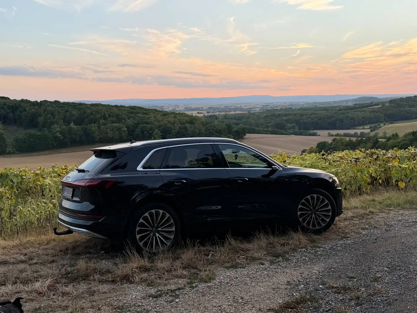 Audi e-tron e-tron 55 quattro 95kWh Advanced Schwarz - 2