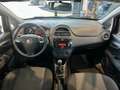 Fiat Punto 1.2 8V 5p. Young *NEOPATENTATI**DISTRIBUZIONE OK* Niebieski - thumbnail 9