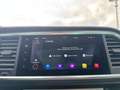 SEAT Ateca Xperience NAVI PANNO Assistenz-Paket Vert - thumbnail 20