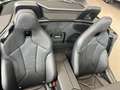 BMW Z4 sDrive20i Roadster/Sportpaket/Navigation/Leder Grün - thumbnail 29