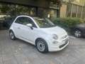 Fiat 500 500  1.3 mjt Lounge 95cv my18 Weiß - thumbnail 1