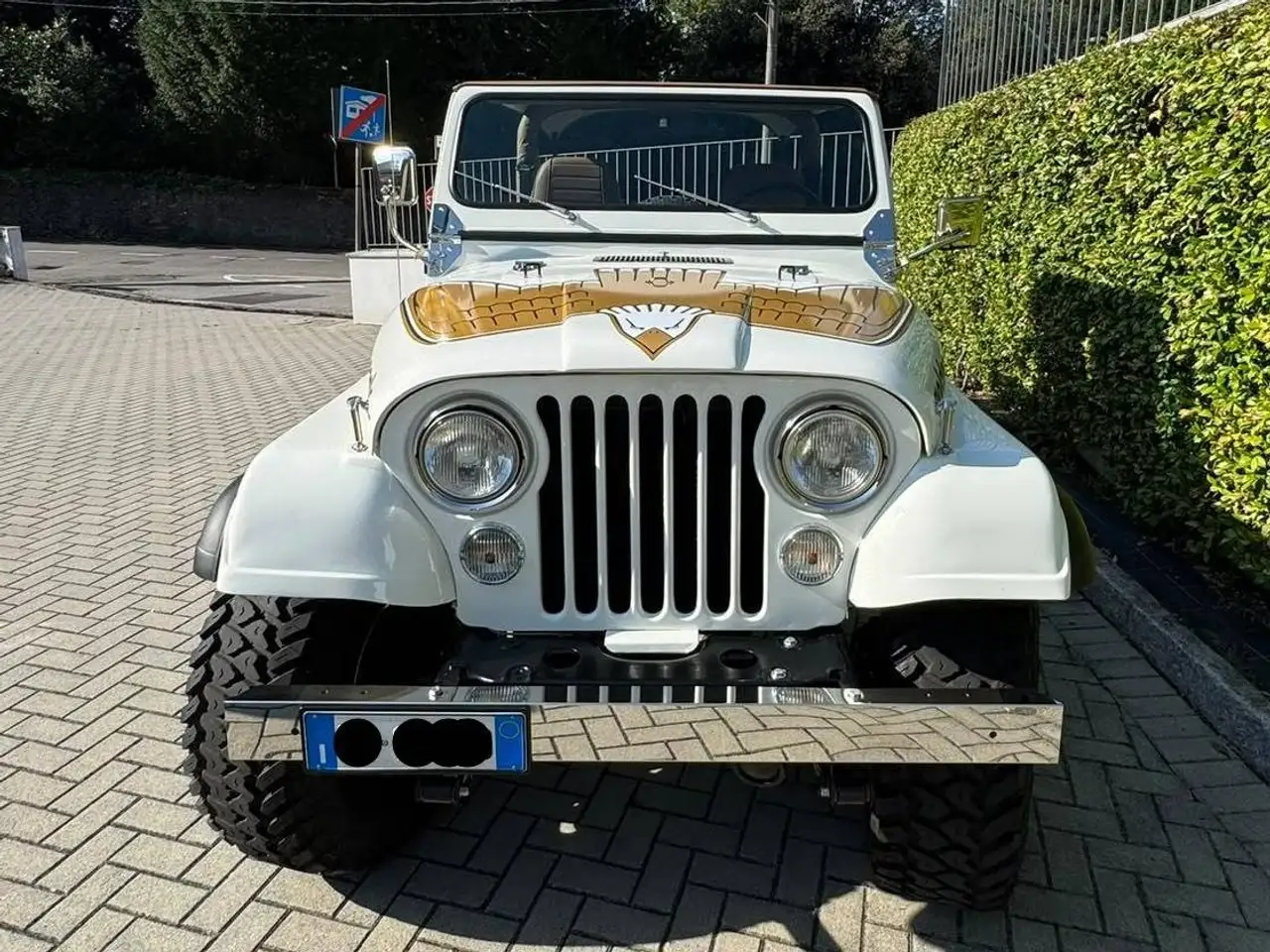 Jeep CJ-7 Golden Eagle, foto 3