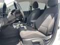 Hyundai BAYON (29.12.2020-) Bayon Comfort Line 1.0 T-GDI y6bc1-P Grau - thumbnail 10