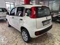 Fiat Panda 0.9 TwinAir Turbo Natural Power Easy Bianco - thumbnail 6
