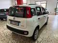 Fiat Panda 0.9 TwinAir Turbo Natural Power Easy Bianco - thumbnail 4