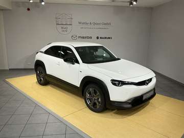 Ad'vantage *Matrix*Carplay*SHZ*FA