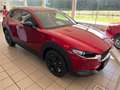 Mazda CX-30 e-Skyactive X186 Homura Rot - thumbnail 4