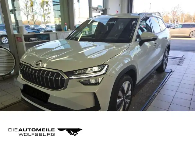 Skoda Kodiaq 2.0 TDI DSG Selection LED/Einparkhi