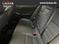 Lexus IS F IS500 F-Sport * 1 von 4 in Europa * AD El. Fon Grau - thumbnail 15