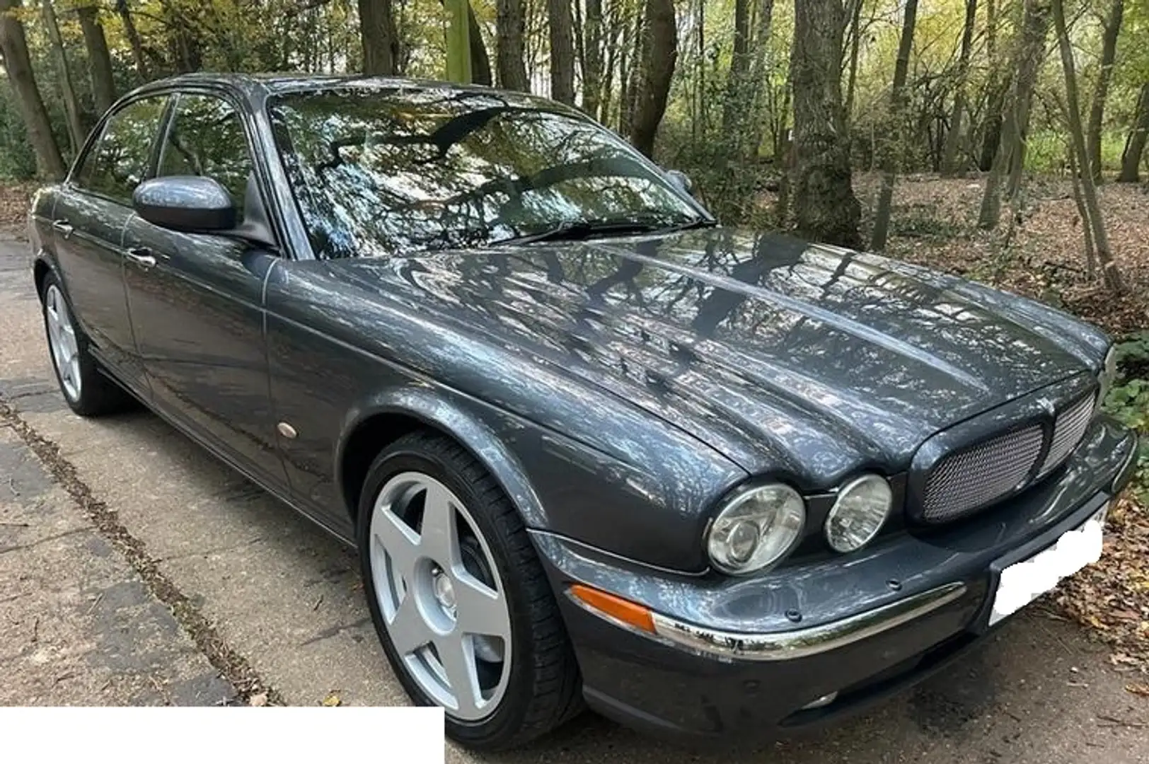 Jaguar XJR x356 Gris - 2