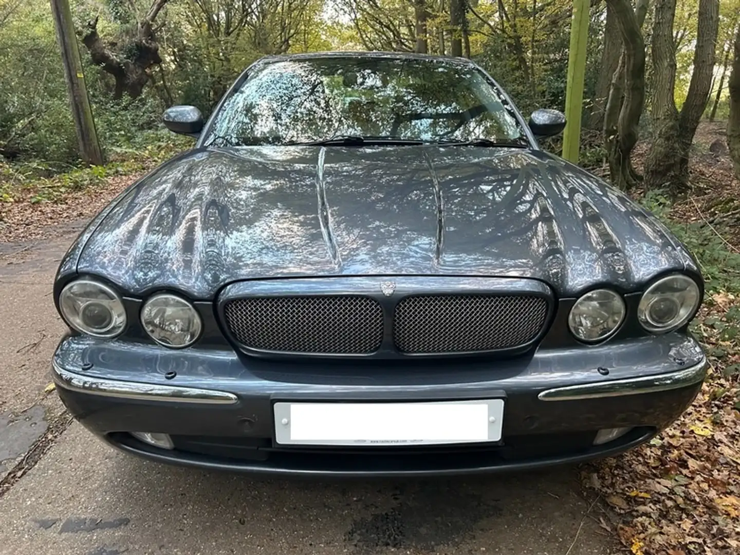 Jaguar XJR x356 Gris - 1