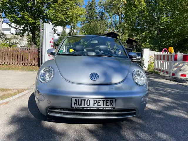 Volkswagen New Beetle view 9