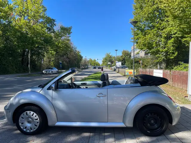 Volkswagen New Beetle view 2