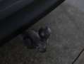 Volkswagen ID.4 GTX 4MOTION 220 kW Schwarz - thumbnail 14