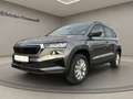 Skoda Karoq Selection ''X-tra'' 1.5 TSI DSG (Kamera/AHK/ACC/LE Grau - thumbnail 1