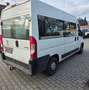 Peugeot Boxer 333 L2H2 Active Blue-HDi 120 Alb - thumbnail 4