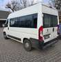 Peugeot Boxer 333 L2H2 Active Blue-HDi 120 Alb - thumbnail 6