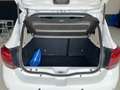 Dacia Sandero II 2017 Stepway Stepway 1.5 dci Brave s&s 90cv Bianco - thumbnail 15