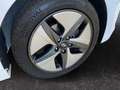 Hyundai IONIQ Trend 1.6 GDI DSG Smartlink Alarmanlage White - thumbnail 15