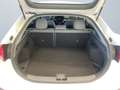 Hyundai IONIQ Trend 1.6 GDI DSG Smartlink Alarmanlage Blanc - thumbnail 14